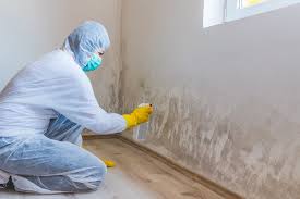 Trusted Reedsville, WI Mold Remediation Experts